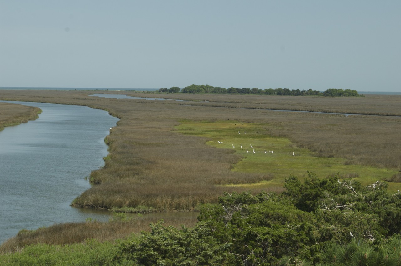 Joes Ridge Creek 越しに見るチェサピーク湾