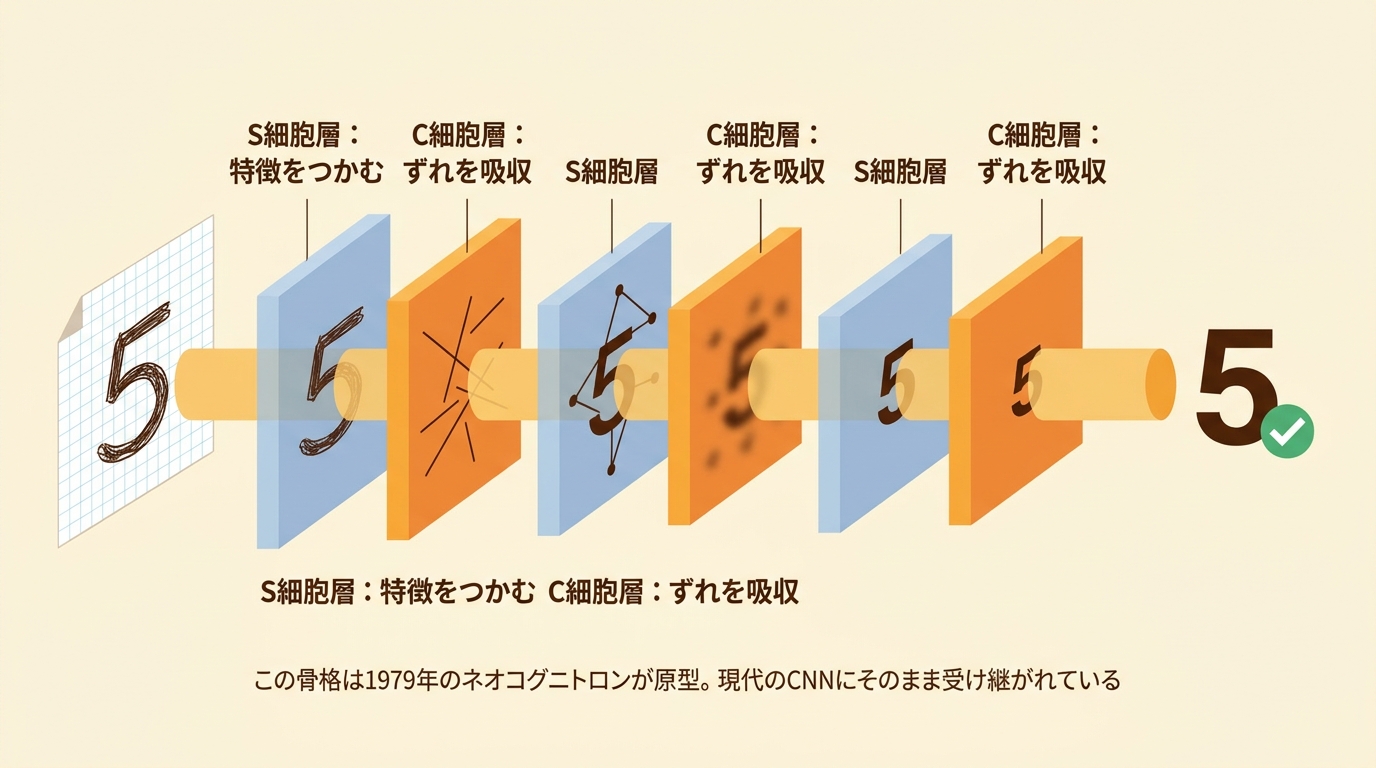 手書きの5がS細胞層とC細胞層を交互に通り抜けて認識される流れ図